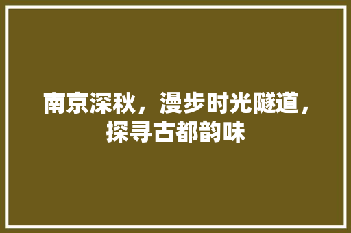 南京深秋，漫步时光隧道，探寻古都韵味