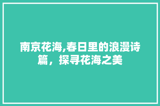 南京花海,春日里的浪漫诗篇，探寻花海之美