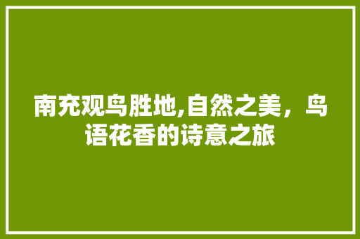 南充观鸟胜地,自然之美，鸟语花香的诗意之旅