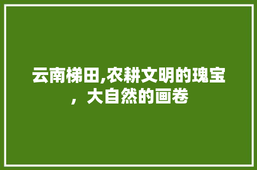 云南梯田,农耕文明的瑰宝，大自然的画卷