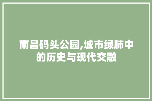 南昌码头公园,城市绿肺中的历史与现代交融