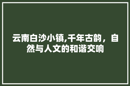 云南白沙小镇,千年古韵，自然与人文的和谐交响