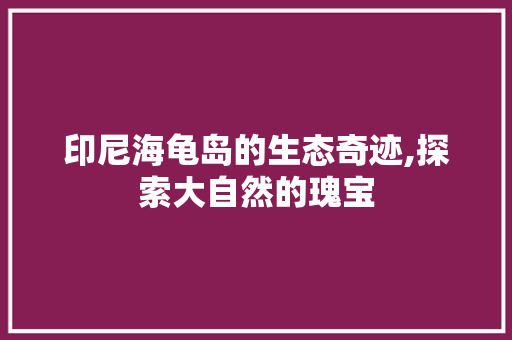 印尼海龟岛的生态奇迹,探索大自然的瑰宝