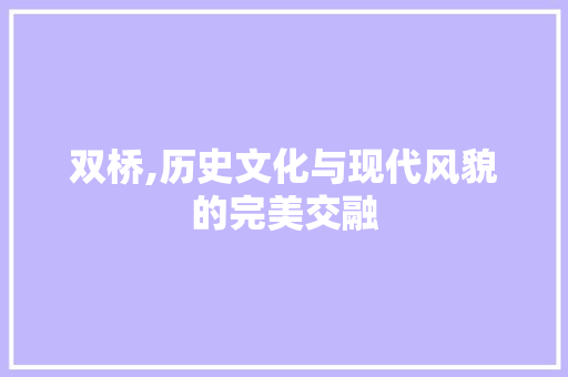 双桥,历史文化与现代风貌的完美交融