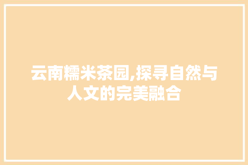 云南糯米茶园,探寻自然与人文的完美融合