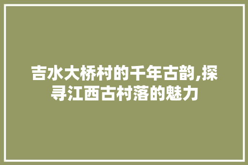 吉水大桥村的千年古韵,探寻江西古村落的魅力  第1张