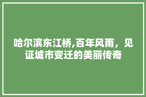 哈尔滨东江桥,百年风雨，见证城市变迁的美丽传奇