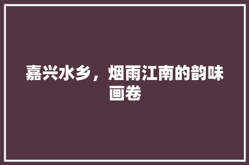 嘉兴水乡，烟雨江南的韵味画卷