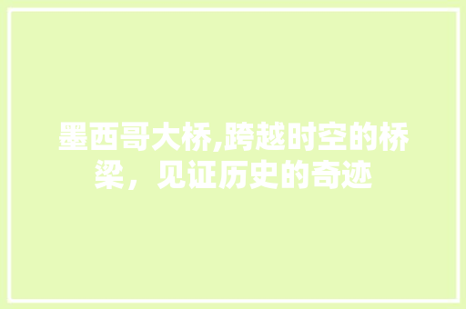 墨西哥大桥,跨越时空的桥梁，见证历史的奇迹