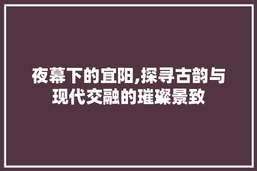 夜幕下的宜阳,探寻古韵与现代交融的璀璨景致