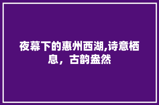 夜幕下的惠州西湖,诗意栖息，古韵盎然