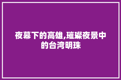 夜幕下的高雄,璀璨夜景中的台湾明珠