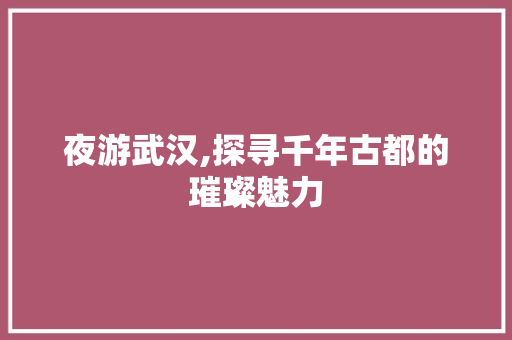 夜游武汉,探寻千年古都的璀璨魅力