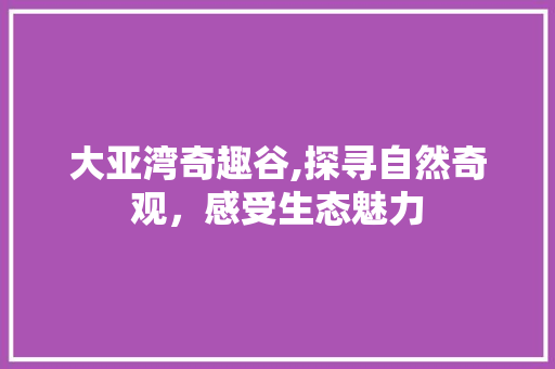 大亚湾奇趣谷,探寻自然奇观，感受生态魅力