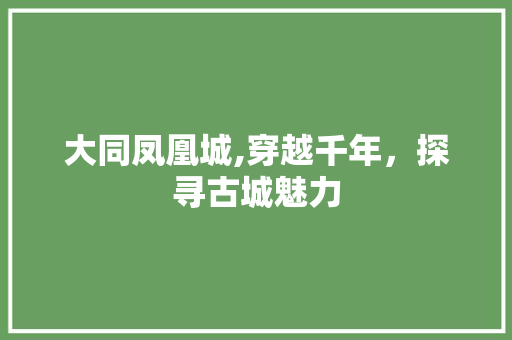 大同凤凰城,穿越千年，探寻古城魅力