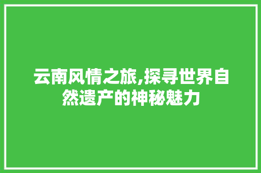 云南风情之旅,探寻世界自然遗产的神秘魅力