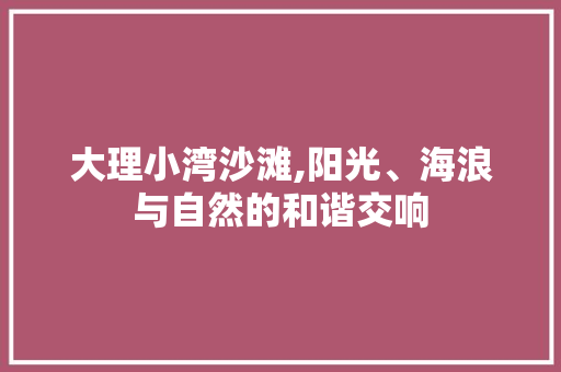 大理小湾沙滩,阳光、海浪与自然的和谐交响