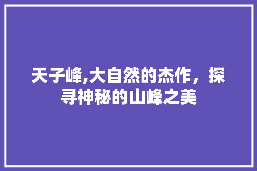 天子峰,大自然的杰作，探寻神秘的山峰之美