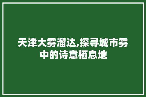 天津大雾溜达,探寻城市雾中的诗意栖息地