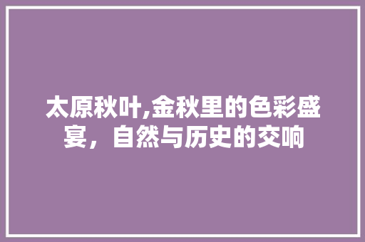 太原秋叶,金秋里的色彩盛宴，自然与历史的交响