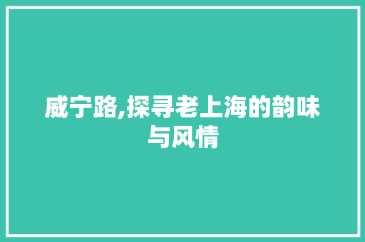 威宁路,探寻老上海的韵味与风情