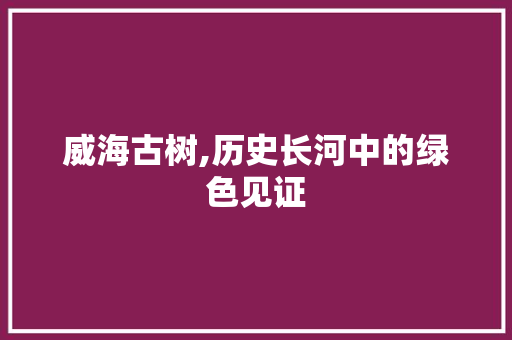 威海古树,历史长河中的绿色见证