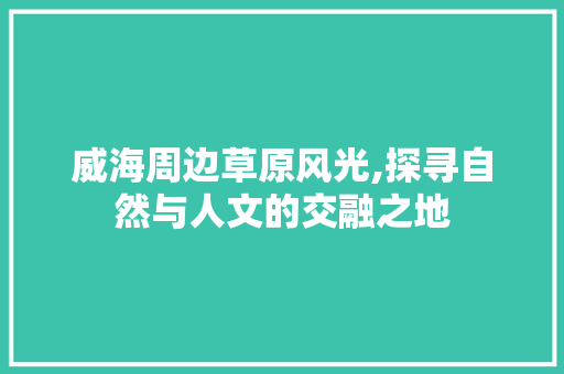 威海周边草原风光,探寻自然与人文的交融之地