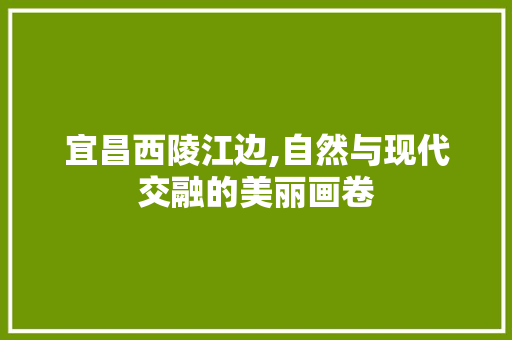 宜昌西陵江边,自然与现代交融的美丽画卷