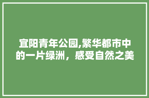 宜阳青年公园,繁华都市中的一片绿洲，感受自然之美