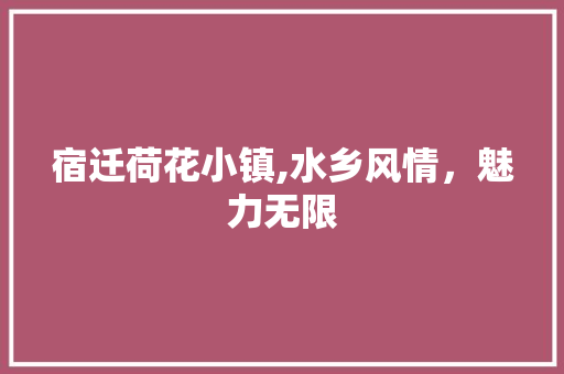 宿迁荷花小镇,水乡风情，魅力无限