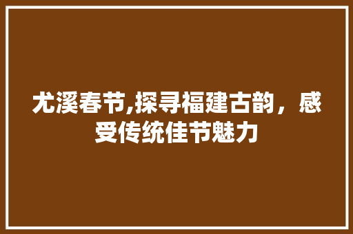 尤溪春节,探寻福建古韵，感受传统佳节魅力