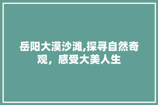 岳阳大漠沙滩,探寻自然奇观，感受大美人生