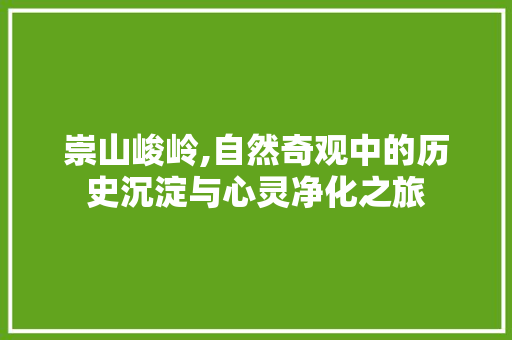 崇山峻岭,自然奇观中的历史沉淀与心灵净化之旅