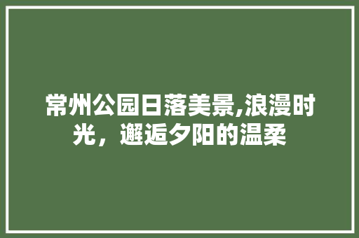 常州公园日落美景,浪漫时光，邂逅夕阳的温柔