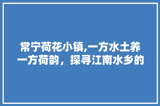 常宁荷花小镇,一方水土养一方荷韵，探寻江南水乡的世外桃源