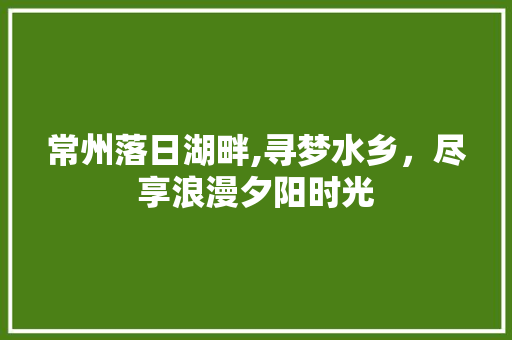 常州落日湖畔,寻梦水乡，尽享浪漫夕阳时光