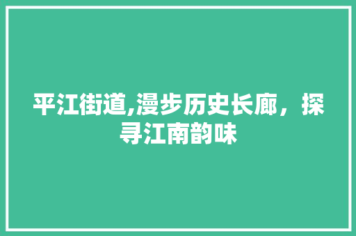 平江街道,漫步历史长廊，探寻江南韵味