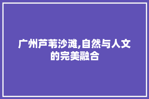 广州芦苇沙滩,自然与人文的完美融合