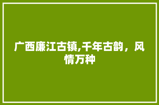 广西廉江古镇,千年古韵，风情万种