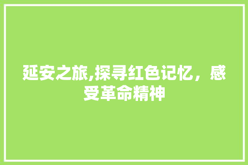 延安之旅,探寻红色记忆，感受革命精神