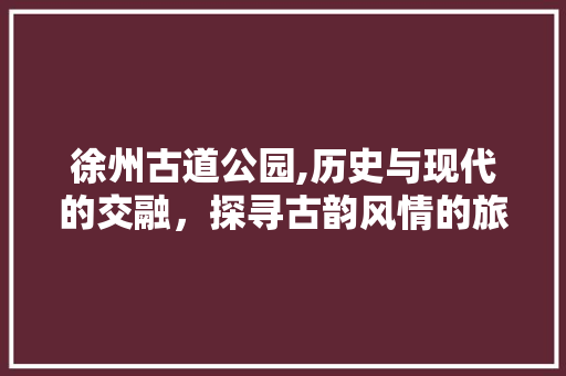 徐州古道公园,历史与现代的交融，探寻古韵风情的旅游胜地