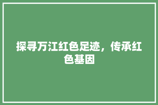 探寻万江红色足迹，传承红色基因