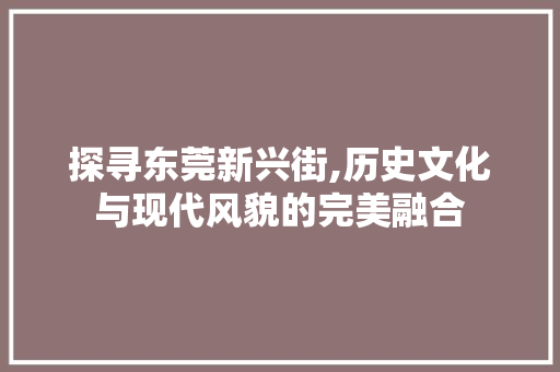 探寻东莞新兴街,历史文化与现代风貌的完美融合