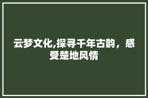 云梦文化,探寻千年古韵，感受楚地风情