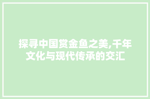 探寻中国赏金鱼之美,千年文化与现代传承的交汇