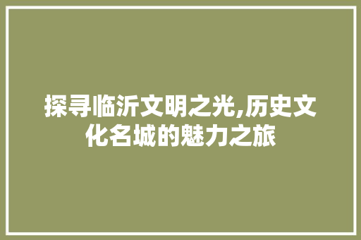 探寻临沂文明之光,历史文化名城的魅力之旅