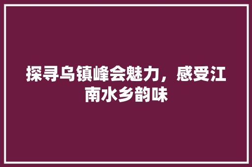 探寻乌镇峰会魅力，感受江南水乡韵味