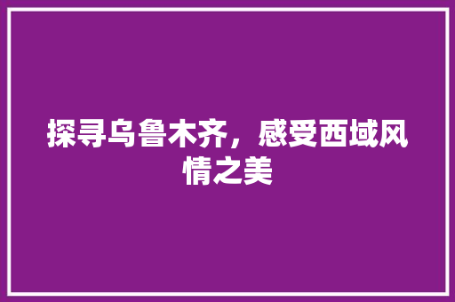 探寻乌鲁木齐，感受西域风情之美