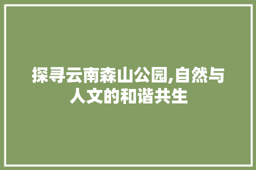 探寻云南森山公园,自然与人文的和谐共生