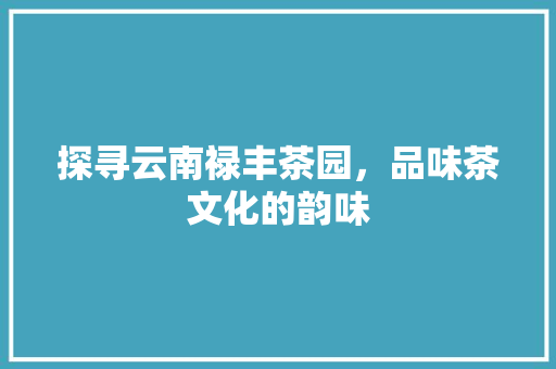 探寻云南禄丰茶园，品味茶文化的韵味